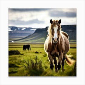 Horses In Iceland Canvas Print