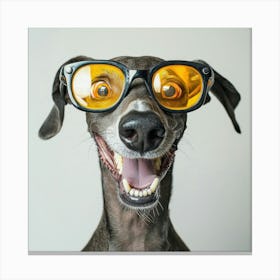 Greyhound In Sunglasses Canvas Print