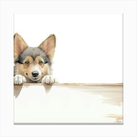 Swedish Vallhund Dog 1 Canvas Print