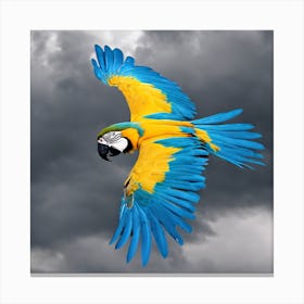 Parrot In Flight Canvas Print