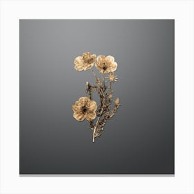 Gold Botanical Long Stalked Ledocarpum on Soft Gray n.4843 Canvas Print