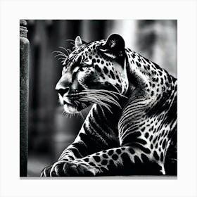 Leopard Wallpaper Canvas Print
