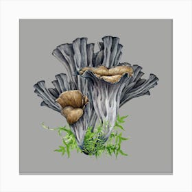 Fungus Canvas Print