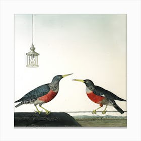 Two Birds With Lantern (I) Canvas Print