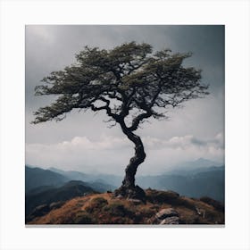 Lone Tree On Top Of Mountain 48 Canvas Print