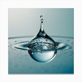 Water Drop 1 Canvas Print