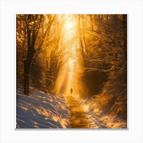 Sun Shines Through The Trees Canvas Print