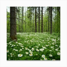 Daisies In The Forest Canvas Print