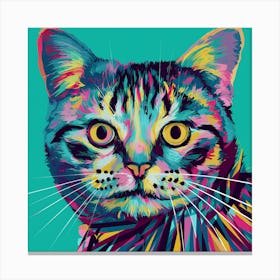 Colorful Cat Canvas Print