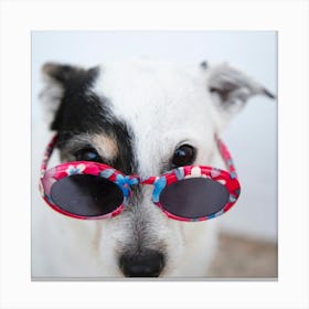 Dog Wearing Sunglasses Canvas Print