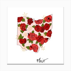 Ohio - Illustrated States Canvas Print