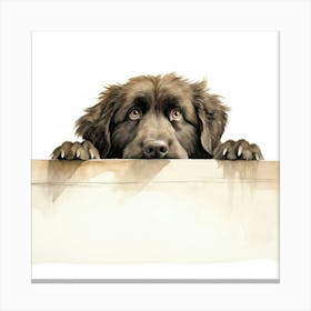 Dog Peeking Over The Wall 25 Canvas Print