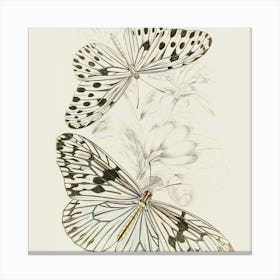 Butterflies And Flowers Canvas Print