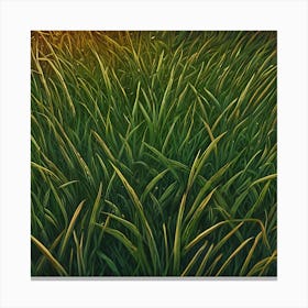Grass Background 41 Canvas Print