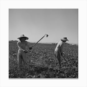 Nyssa, Oregon, Fsa (Farm Security Administration) Mobile Camp, Japanese American Farm Worker By Russell Lee 2 Canvas Print
