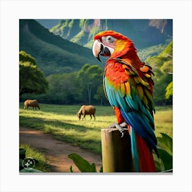 Parrot Canvas Print