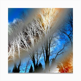 Trees Obscured by Clouds -001 Canvas Print