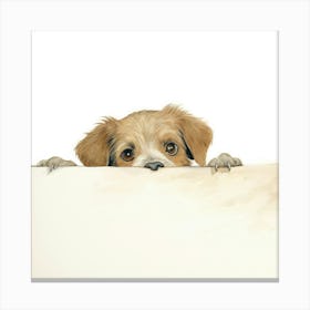 Setter Irish 1 Canvas Print