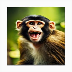 Monkey Smiling Canvas Print