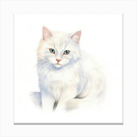 Russian White Cat Portrait 1 Canvas Print