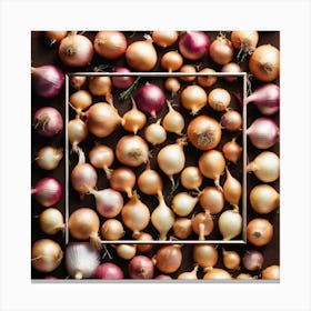 Onion In A Frame Canvas Print