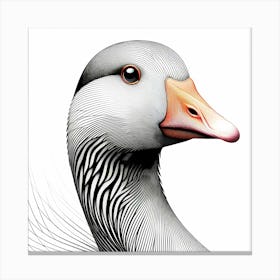 Goose Head - Abstract Line Art Illustration 85 Canvas Print