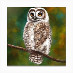 Fledgeling Owlet Canvas Print