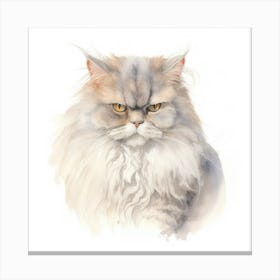 Selkirk Rex Longhair Cat Portrait Canvas Print