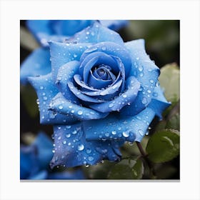 Blue Roses Canvas Print