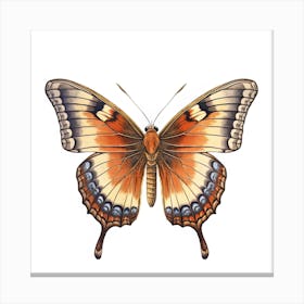 Butterfly 22 Canvas Print