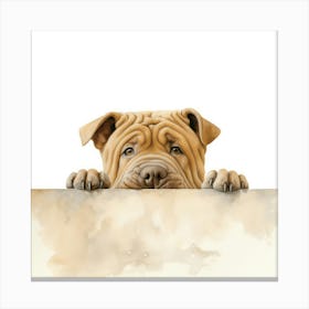 Shar-Pei 1 Canvas Print