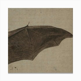 Bat C Canvas Print