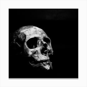 Human Skull Isolated On Black Background Canvas Print