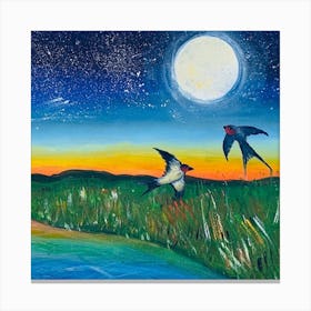 Swallows At Night Canvas Print