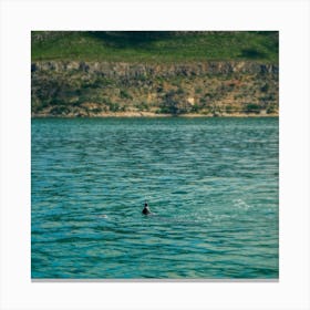 Dolphins In The Sea Canvas Print