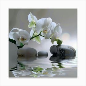 White Orchids In Water 1 Canvas Print