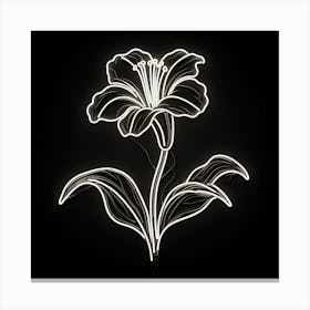 White Flower Canvas Print