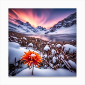 Flower In The Snow Canvas Print