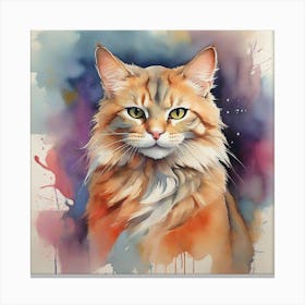 Coon Cat Canvas Print