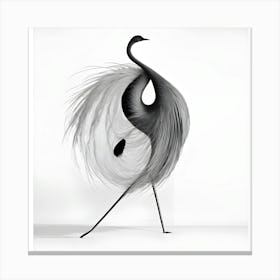 Beautiful swan Canvas Print