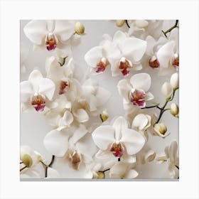 Orchid 9 Canvas Print