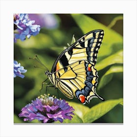Butterfly On A Flower Canvas Print