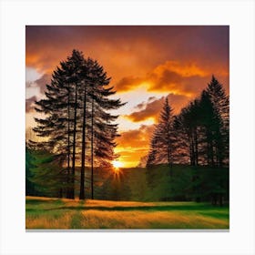 Sunset In The Woods 7 Canvas Print