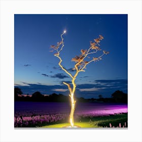 Lone Tree At Night Canvas Print