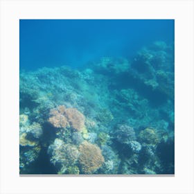 Great Barrier reef 7 Canvas Print