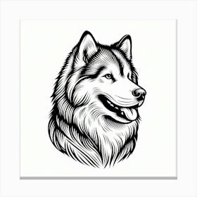 Husky dog 4 Canvas Print