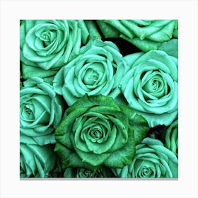 Sea Green Roses Canvas Print