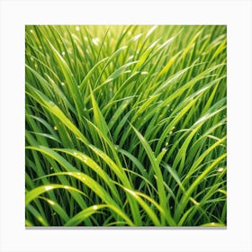 Green Grass Background 33 Canvas Print