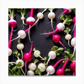 Radishes On Black Background Canvas Print