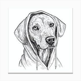 Dog In Hoodie Canvas Print
